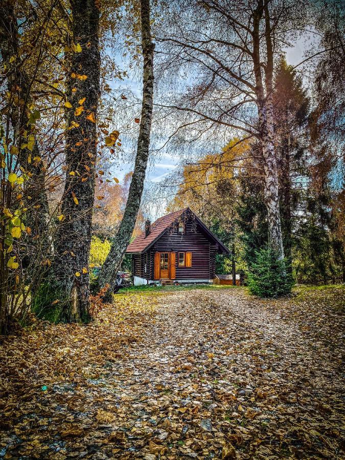 Pine Lodge Hlevci Exterior foto